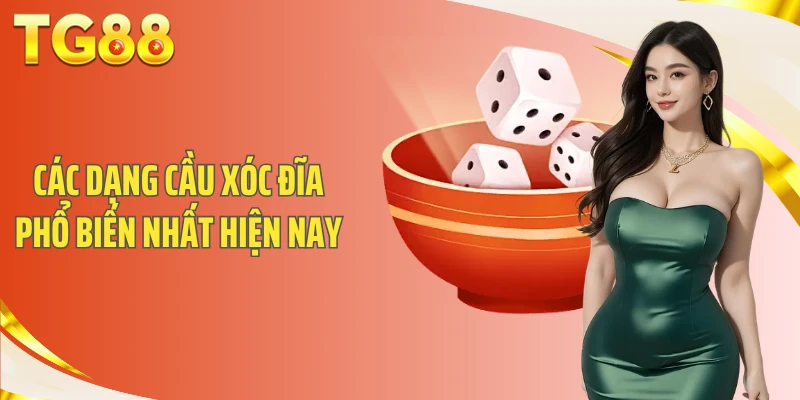 Các dạng cầu xóc đĩa phổ biến nhất hiện nay