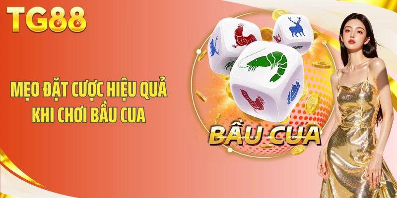 Mẹo đặt cược hiệu quả khi chơi bầu cua