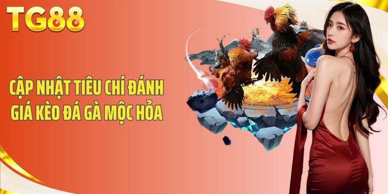 Cập nhật tiêu chí đánh giá kèo Đá gà Mộc Hỏa