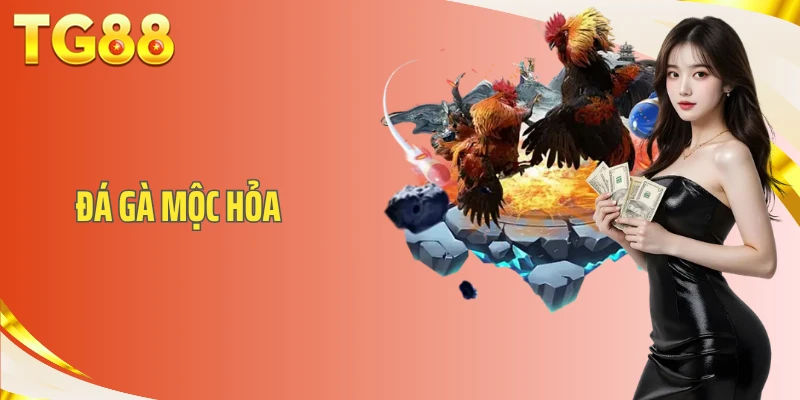 Đá Gà Mộc Hỏa- Giải Đấu Nảy Lửa Và Kinh Nghiệm Cá Cược