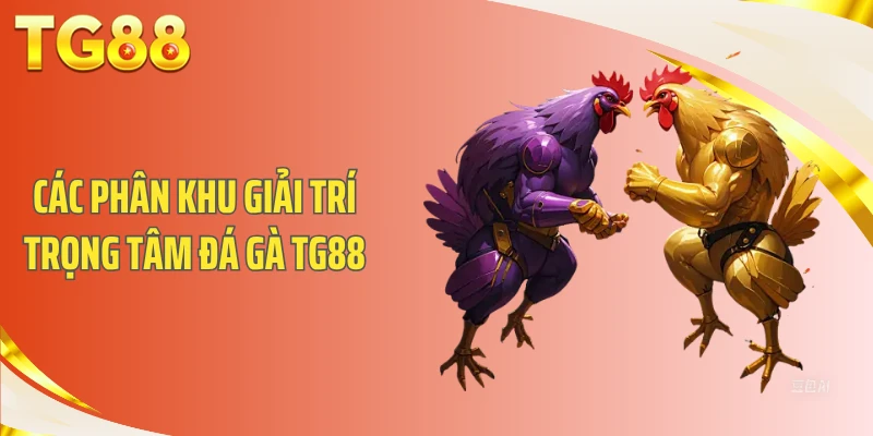 Các phân khu giải trí trọng tâm Đá gà TG88
