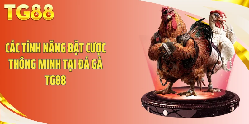 Các tính năng đặt cược thông minh tại đá gà TG88