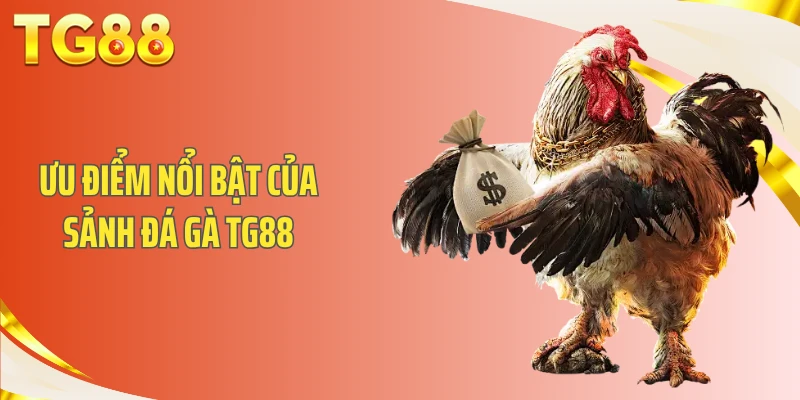 Ưu điểm nổi bật của sảnh Đá gà TG88