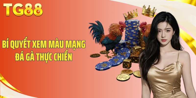 Bí quyết xem màu mạng đá gà thực chiến
